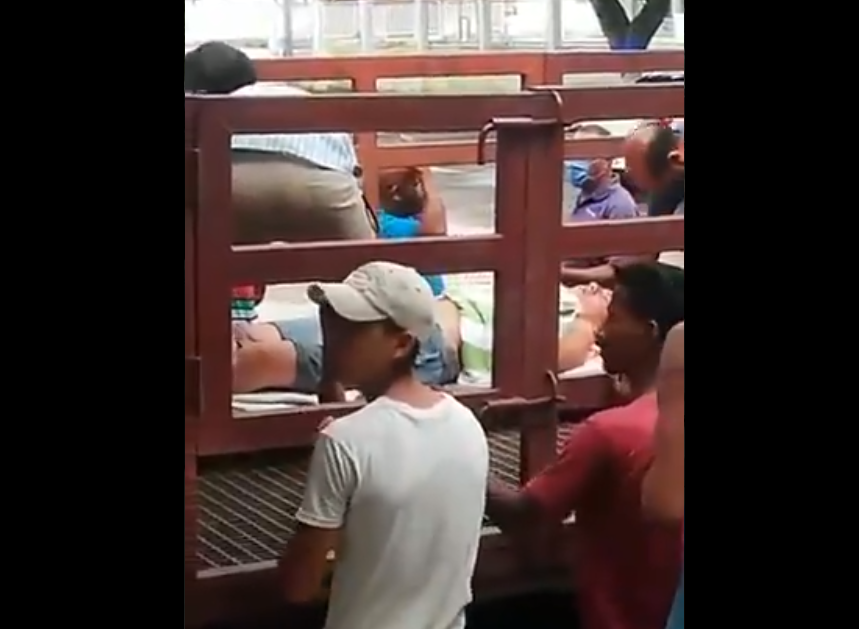 Dramático VIDEO: Paciente picado por una serpiente fue trasladado hasta Cumaná en un camión de carga