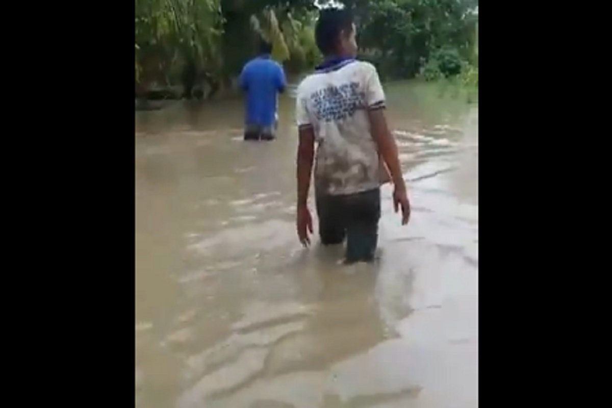Productores de plátanos del Zulia están a punto de perder cosechas por inundaciones: José Luis Pirela